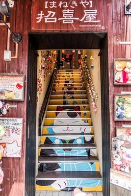 Book cover for Cool Painted Steps in Kyoto, Japan