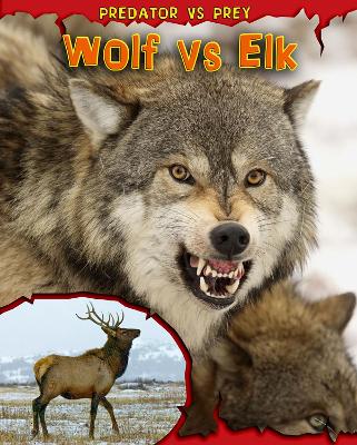 Book cover for Wolf vs Elk