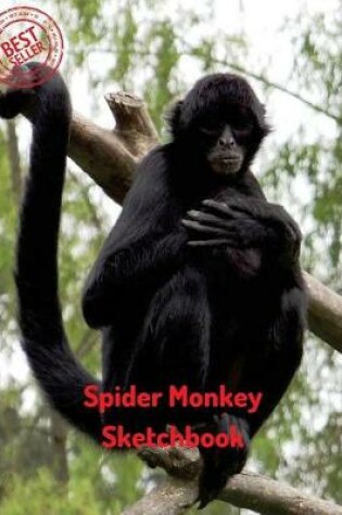 Cover of Spider Monkey Sketchbook