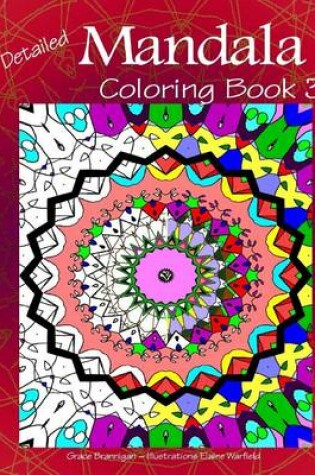 Cover of Detailed Mandala Coloring Book 3