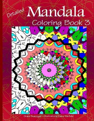 Book cover for Detailed Mandala Coloring Book 3