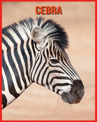 Book cover for Cebra