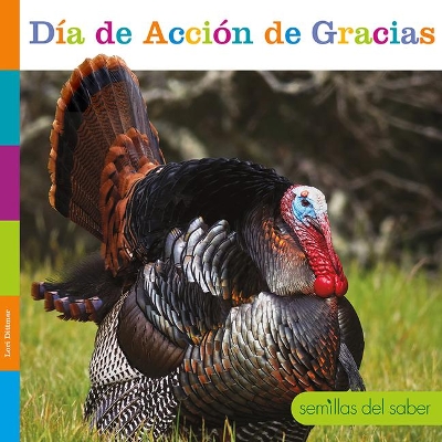 Cover of Día de Acción de Gracias