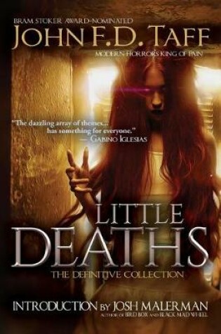 Cover of Little Deaths