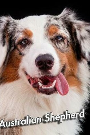 Cover of Australian Shepherd