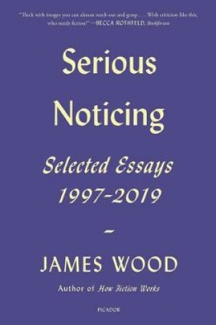 Cover of Serious Noticing