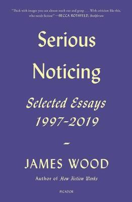 Book cover for Serious Noticing