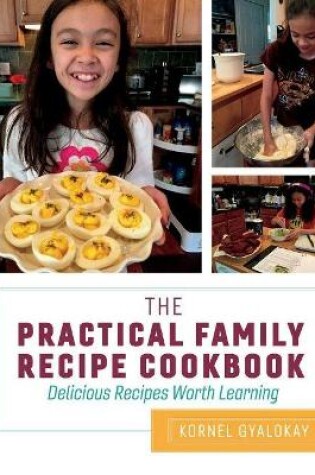 Cover of The Practical Family Recipe Cookbook