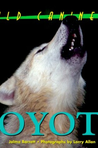 Cover of Coyote