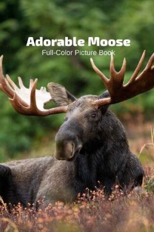Cover of Adorable Moose Full-Color Picture Book