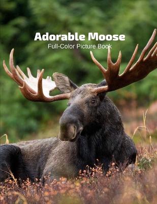 Book cover for Adorable Moose Full-Color Picture Book