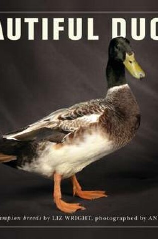 Cover of Beautiful Ducks