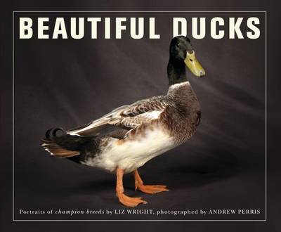 Book cover for Beautiful Ducks