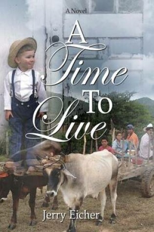 Cover of A Time To Live