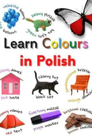 Cover of Learn Colours in Polish