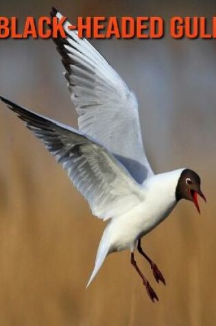 Cover of Black-Headed Gull