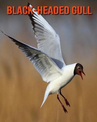 Book cover for Black-Headed Gull