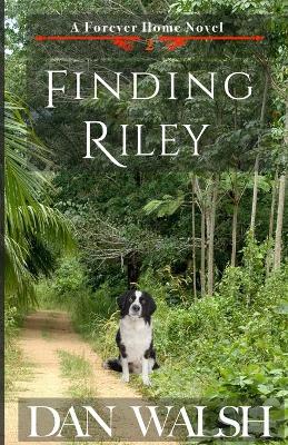 Book cover for Finding Riley