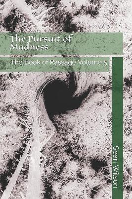 Book cover for The Pursuit of Madness