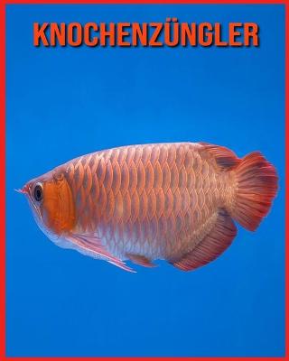 Book cover for Knochenzüngler