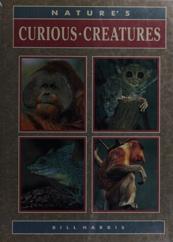 Book cover for Nature's Curious Creatures