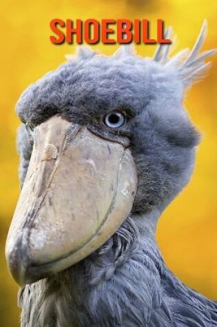 Cover of Shoebill