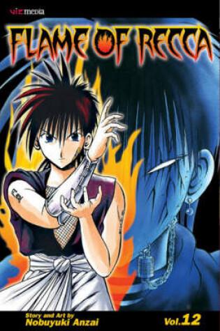 Cover of Flame of Recca, Vol. 12