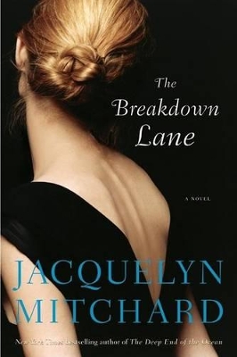 Book cover for Breakdown Lane Intl