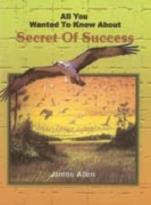 Book cover for All You Wanted to Know About the Secret of Success
