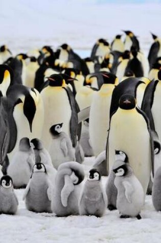 Cover of Antarctic Penguin Colony (for the Love of Animals)