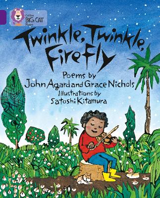 Book cover for Twinkle, Twinkle, Firefly