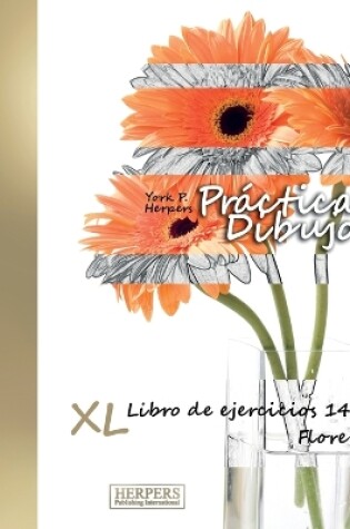 Cover of Práctica Dibujo - XL Libro de ejercicios 14