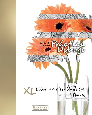 Book cover for Práctica Dibujo - XL Libro de ejercicios 14
