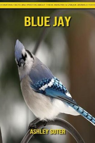 Cover of Blue Jay