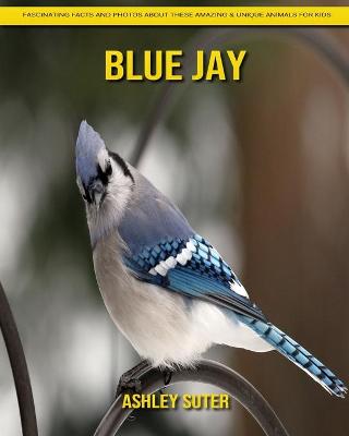 Book cover for Blue Jay