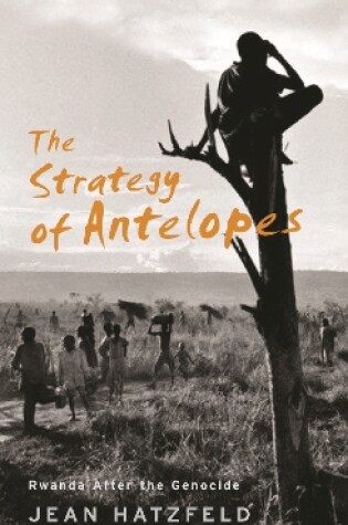 Cover of The Strategy Of Antelopes