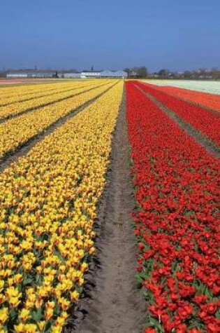 Cover of Straight Rows of Yellow and Red Tulips in Holland Journal