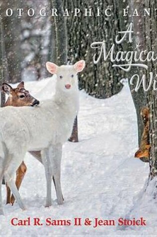 Cover of A Magical Winter