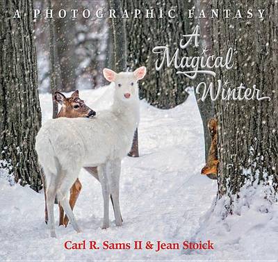 Book cover for A Magical Winter