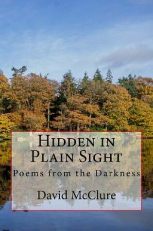 Cover of Hidden in Plain Sight