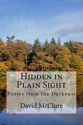 Book cover for Hidden in Plain Sight