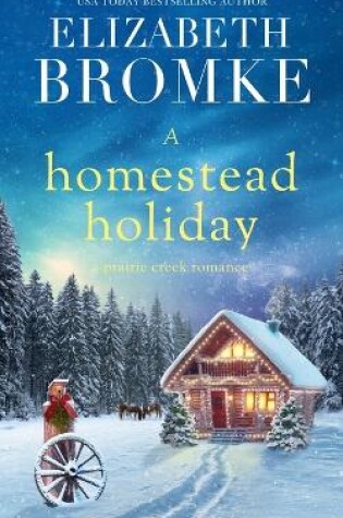 Cover of A Homestead Holiday