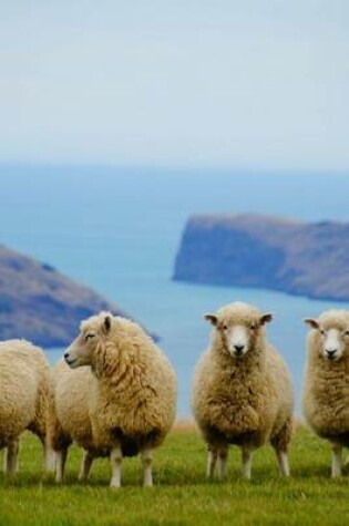 Cover of Sheep Near a Cliff in New Zealand