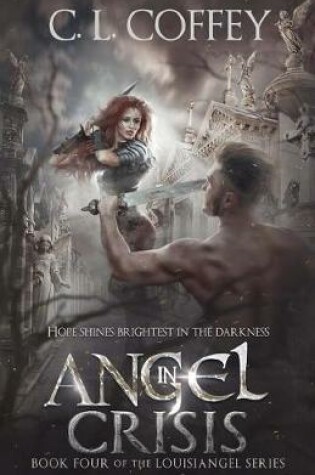 Cover of Angel in Crisis