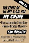 Book cover for The Story of Lil Ant & O.G. Roy