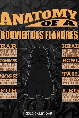 Book cover for Anatomy Of A Bouvier Des Flandres