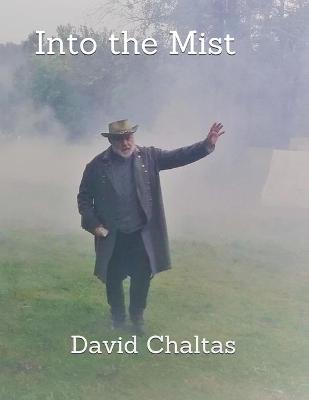 Book cover for Into the Mist