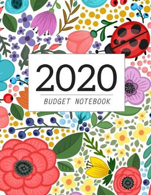 Book cover for Budget Notebook