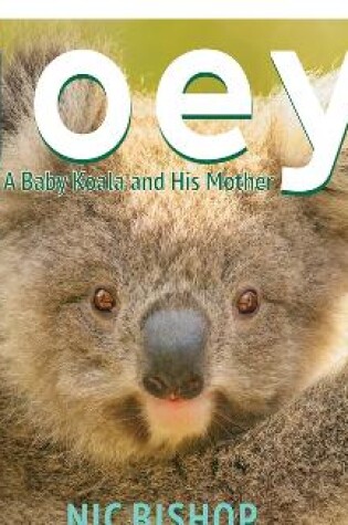 Cover of Joey: A Baby Koala and His Mother