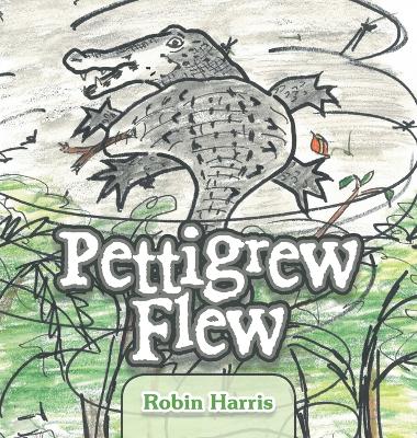 Book cover for Pettigrew Flew